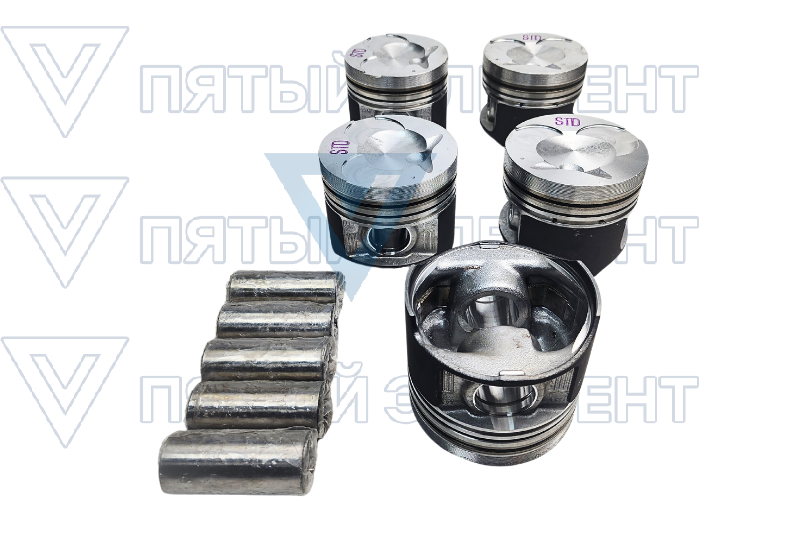 Поршня дизельные стд.602 (MUSSO) 6610303717