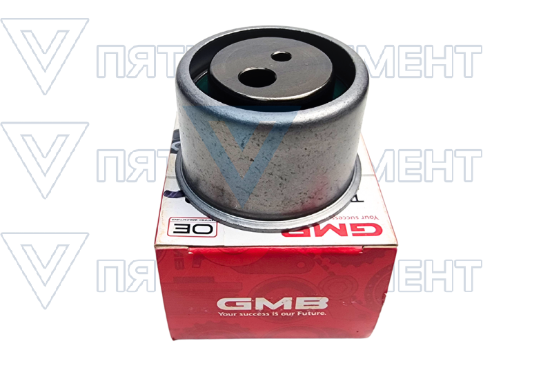 Подшипник обводной 2,5 DOHC V6 (SONATA EF) GT10111